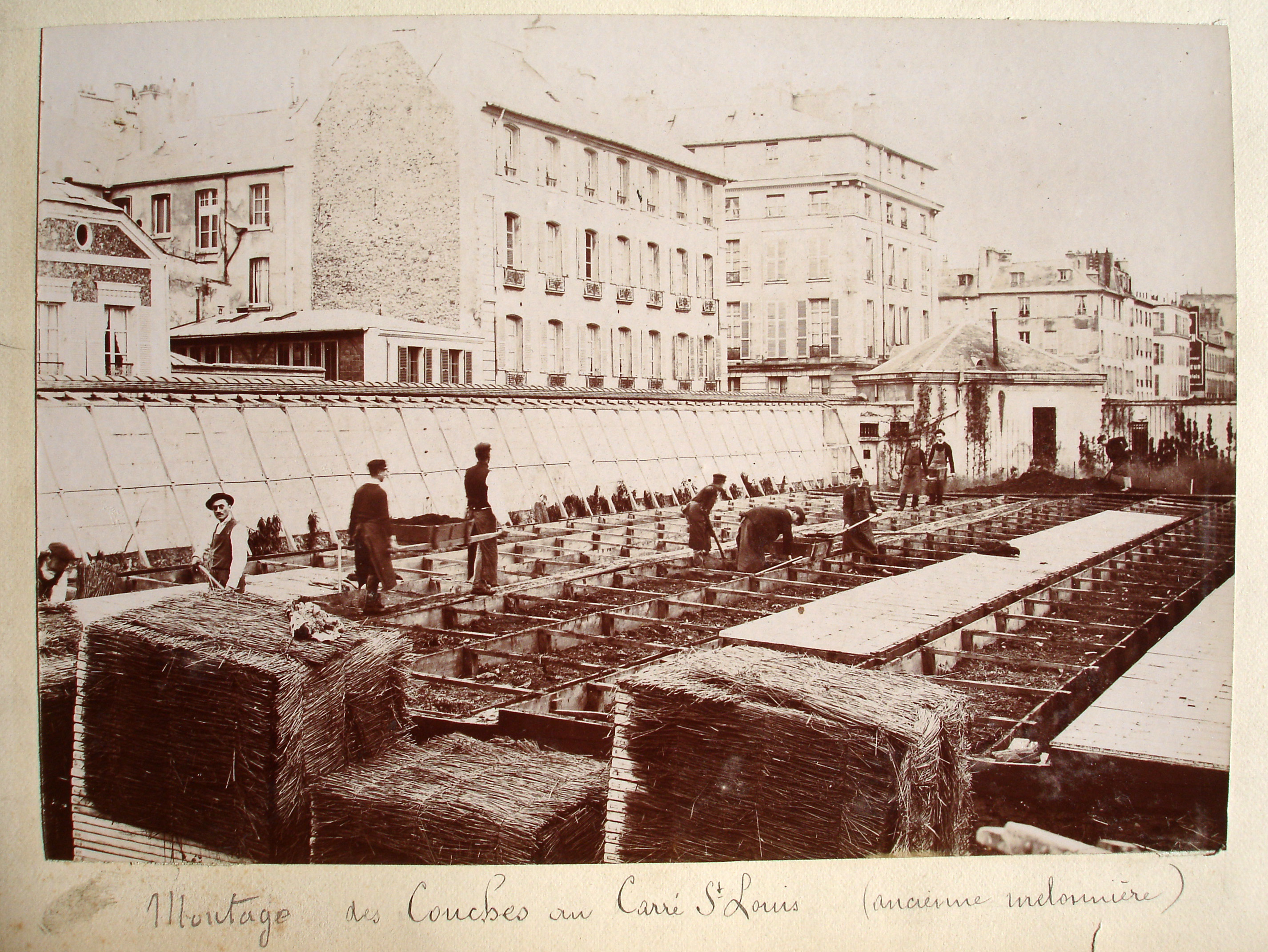 Montage des couches au Carré Saint-Louis (ancienne melonnière) (intitulé d'origine)