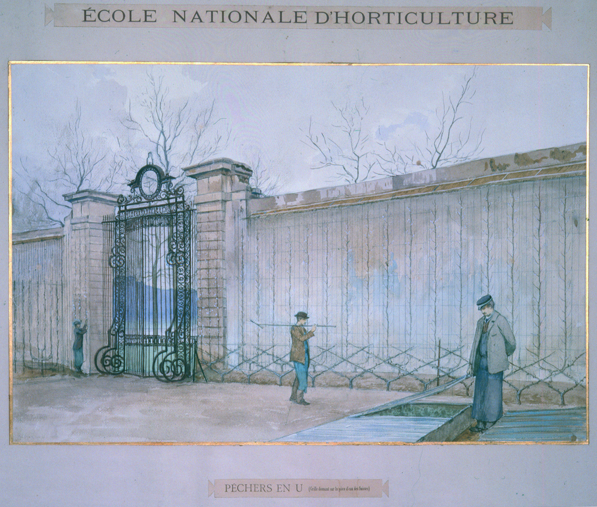 Ecole nationale d&rsquo;Horticulture. Péchers en U, grille donnant sur la pièce d&rsquo;eau des Suisses (intitulé d&rsquo;origine)
